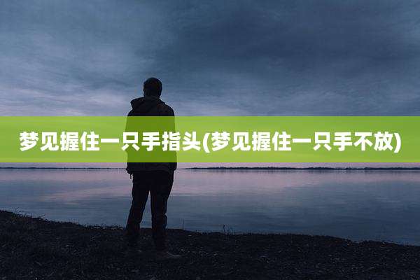 梦见握住一只手指头(梦见握住一只手不放)