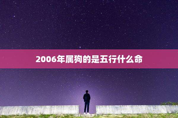2006年属狗的是五行什么命
