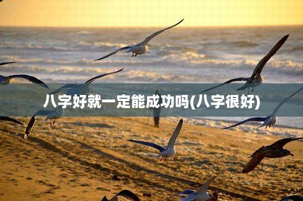 八字好就一定能成功吗(八字很好)