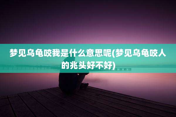 梦见乌龟咬我是什么意思呢(梦见乌龟咬人的兆头好不好)