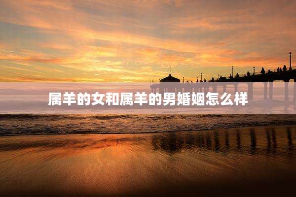 属羊的女和属羊的男婚姻怎么样
