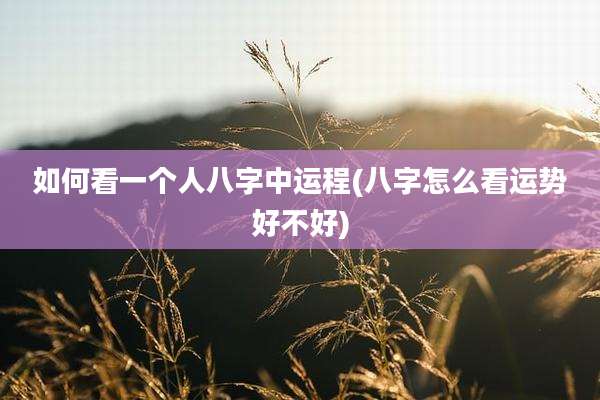 如何看一个人八字中运程(八字怎么看运势好不好)