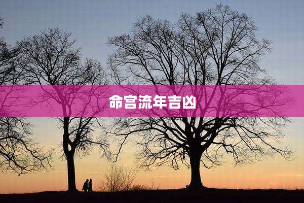 命宫流年吉凶