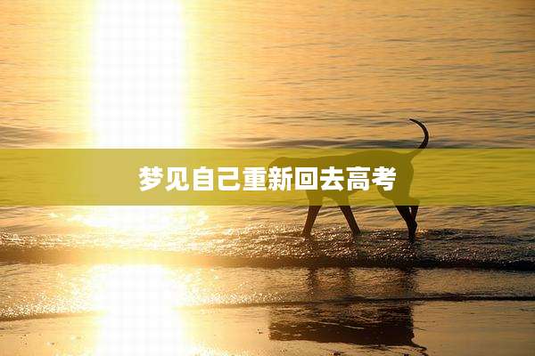 梦见自己重新回去高考