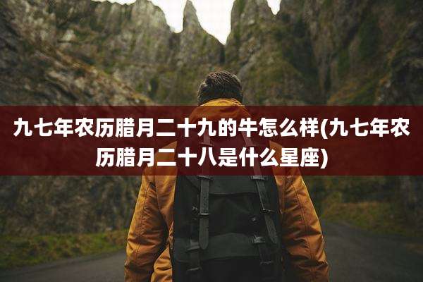 九七年农历腊月二十九的牛怎么样(九七年农历腊月二十八是什么星座)