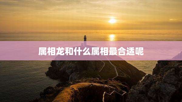 属相龙和什么属相最合适呢