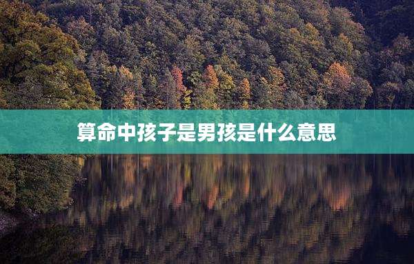 算命中孩子是男孩是什么意思