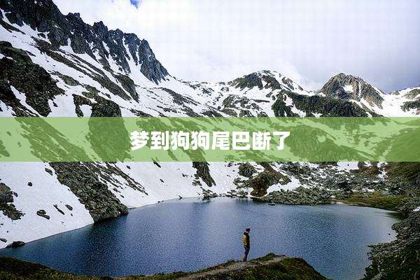 梦到狗狗尾巴断了
