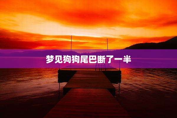 梦见狗狗尾巴断了一半