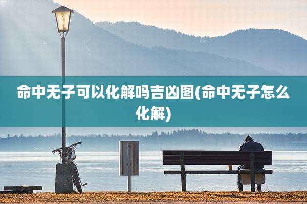 命中无子可以化解吗吉凶图(命中无子怎么化解)