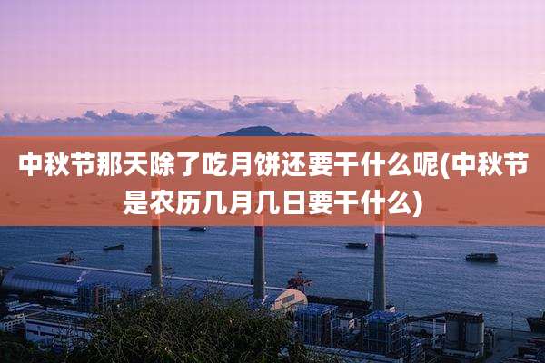 中秋节那天除了吃月饼还要干什么呢(中秋节是农历几月几日要干什么)