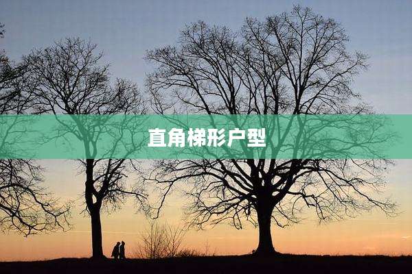 直角梯形户型