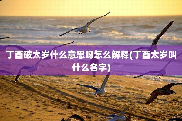 丁酉破太岁什么意思呀怎么解释(丁酉太岁叫什么名字)
