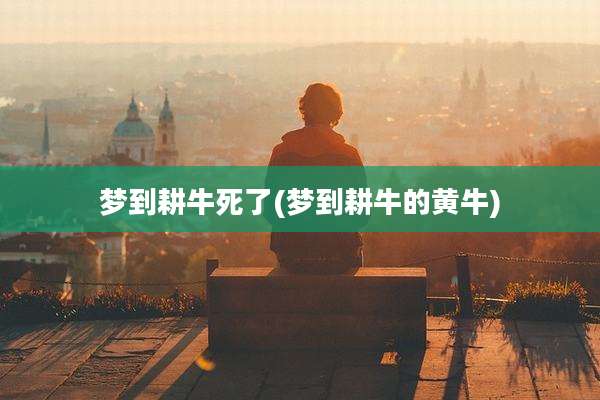 梦到耕牛死了(梦到耕牛的黄牛)