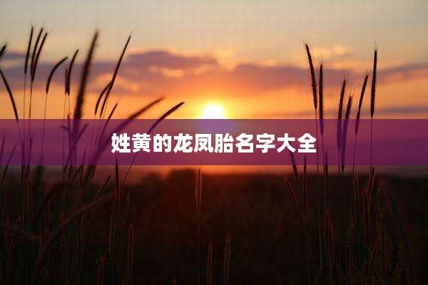 姓黄的龙凤胎名字大全