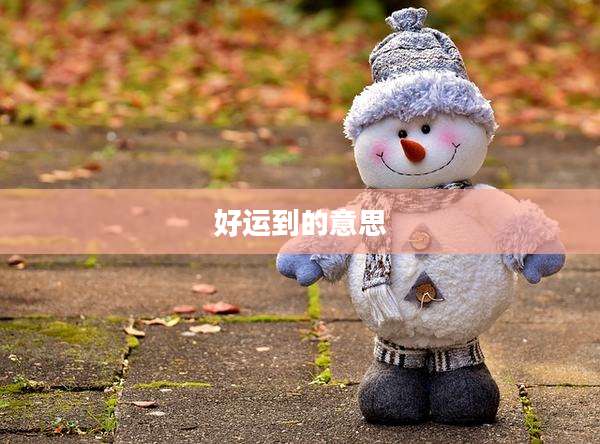好运到的意思