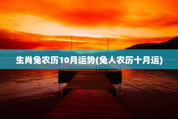 生肖兔农历10月运势(兔人农历十月运)