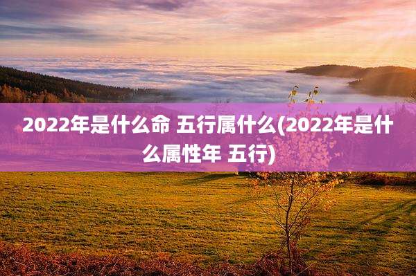 2022年是什么命 五行属什么(2022年是什么属性年 五行)