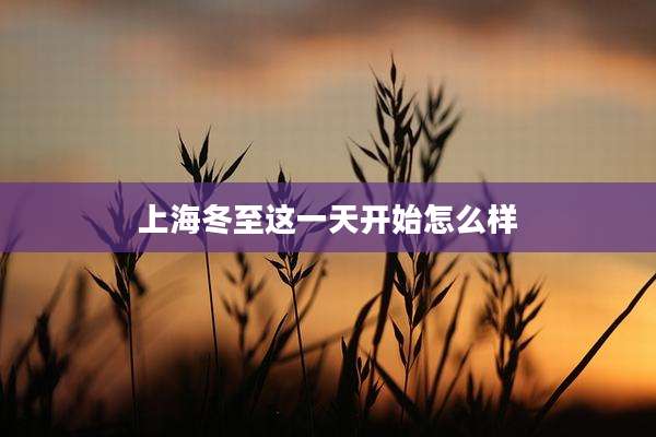 上海冬至这一天开始怎么样