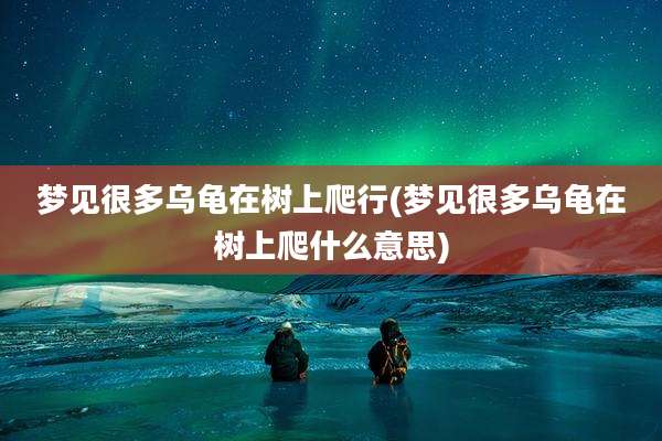 梦见很多乌龟在树上爬行(梦见很多乌龟在树上爬什么意思)