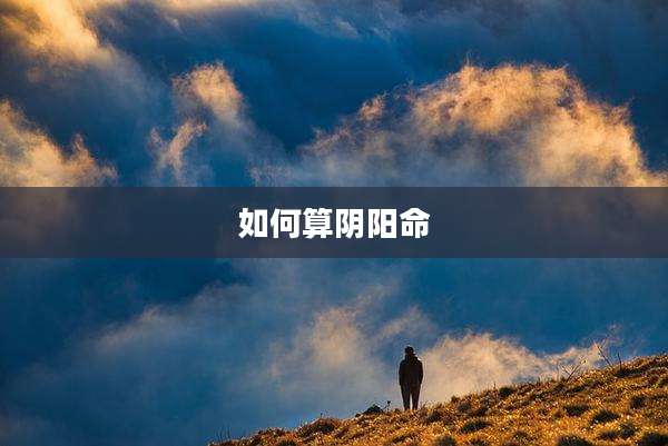 如何算阴阳命