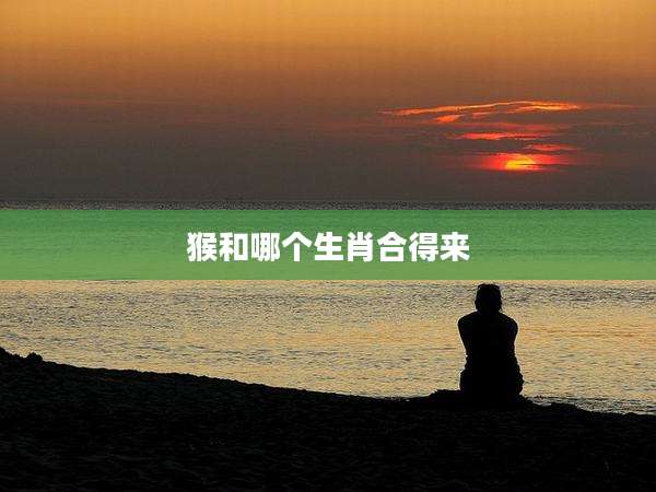 猴和哪个生肖合得来