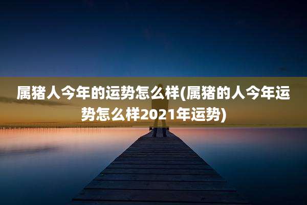 属猪人今年的运势怎么样(属猪的人今年运势怎么样2021年运势)