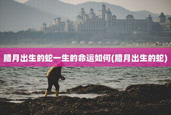 腊月出生的蛇一生的命运如何(腊月出生的蛇)