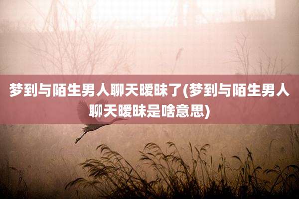 梦到与陌生男人聊天暧昧了(梦到与陌生男人聊天暧昧是啥意思)