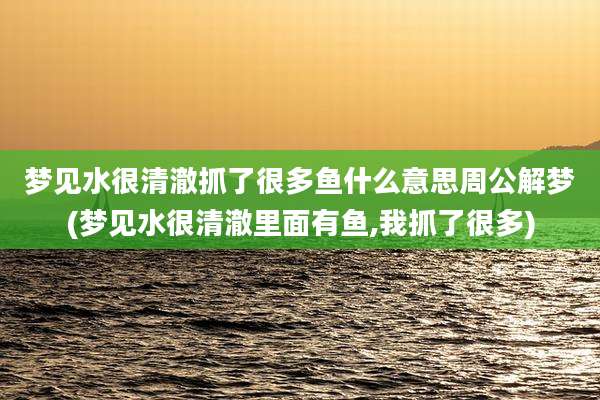 梦见水很清澈抓了很多鱼什么意思周公解梦(梦见水很清澈里面有鱼,我抓了很多)