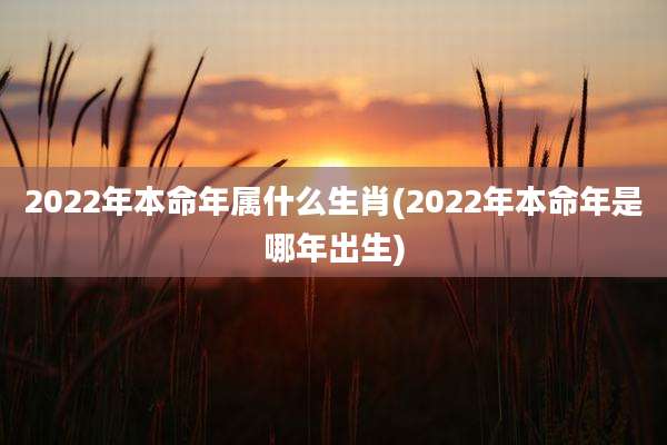 2022年本命年属什么生肖(2022年本命年是哪年出生)