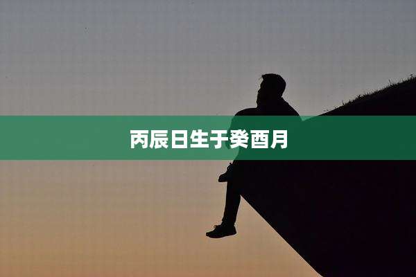丙辰日生于癸酉月