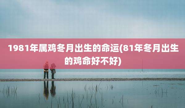 1981年属鸡冬月出生的命运(81年冬月出生的鸡命好不好)