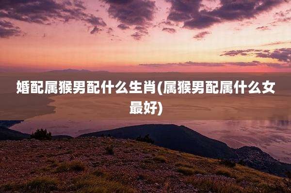 婚配属猴男配什么生肖(属猴男配属什么女最好)