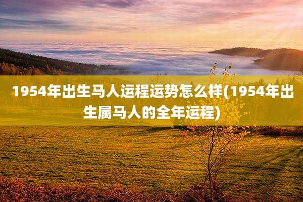 1954年出生马人运程运势怎么样(1954年出生属马人的全年运程)