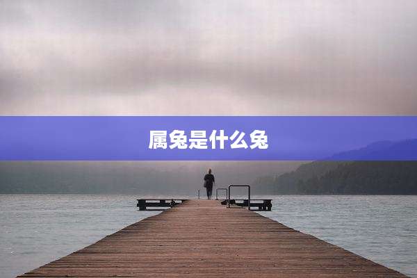 属兔是什么兔