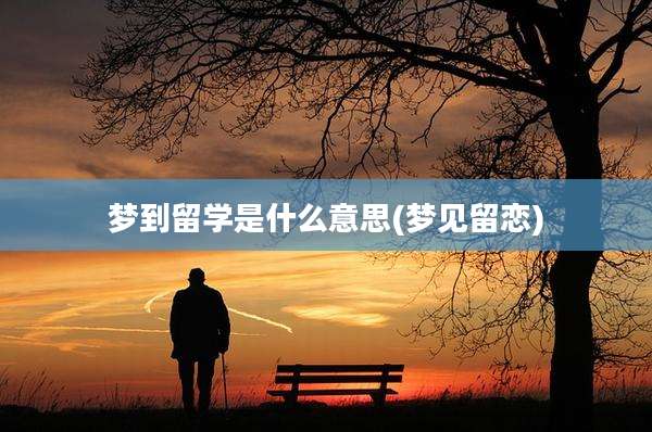 梦到留学是什么意思(梦见留恋)
