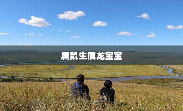 属鼠生属龙宝宝