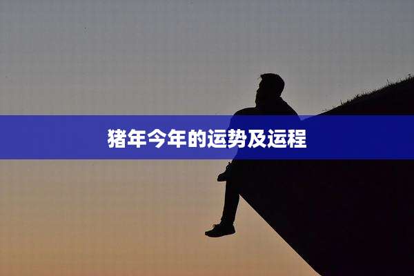 猪年今年的运势及运程