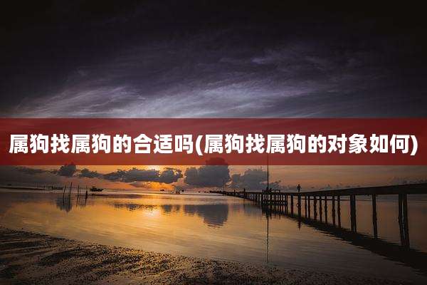 属狗找属狗的合适吗(属狗找属狗的对象如何)