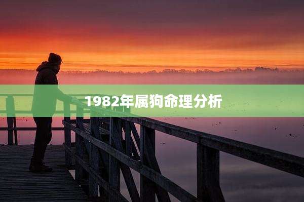 1982年属狗命理分析
