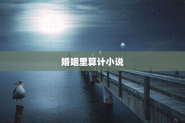 婚姻里算计小说
