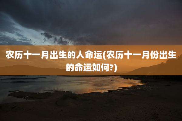 农历十一月出生的人命运(农历十一月份出生的命运如何?)
