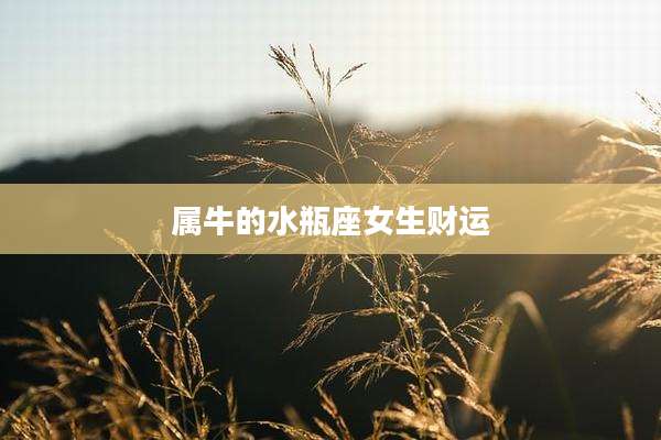 属牛的水瓶座女生财运