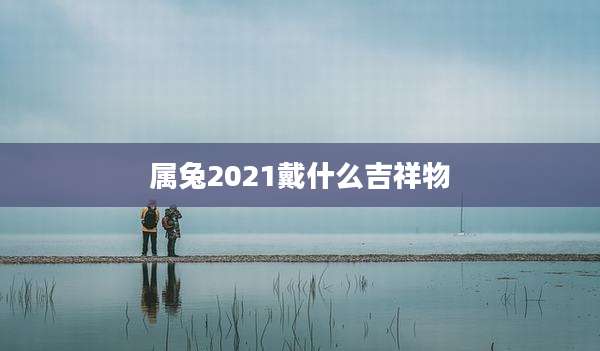 属兔2021戴什么吉祥物