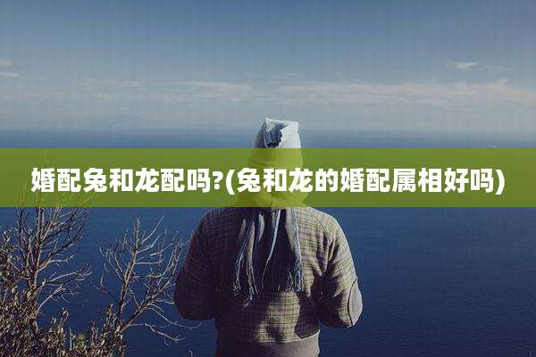 婚配兔和龙配吗?(兔和龙的婚配属相好吗)