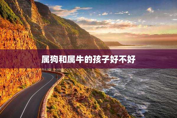 属狗和属牛的孩子好不好