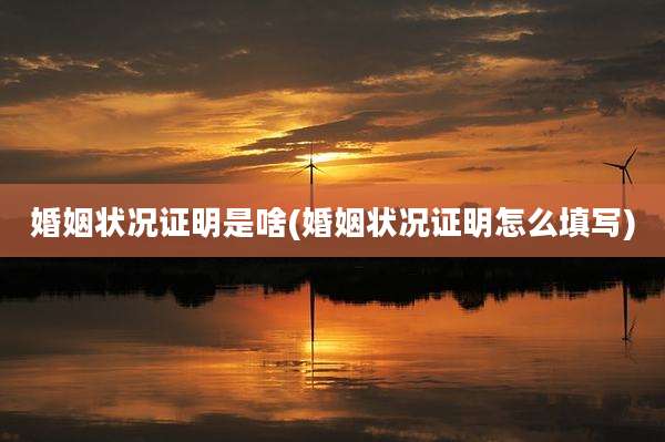 婚姻状况证明是啥(婚姻状况证明怎么填写)