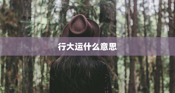 行大运什么意思