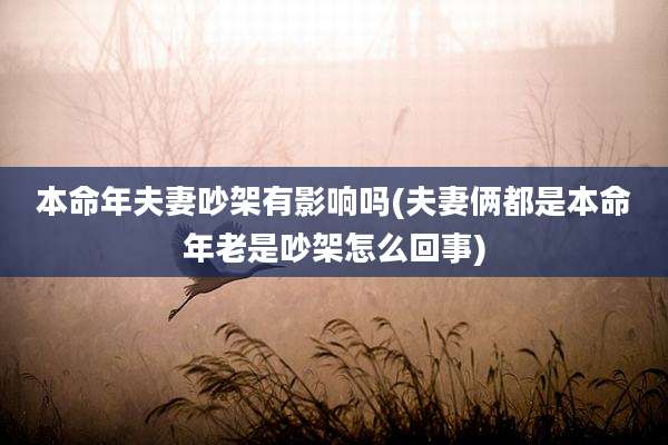 本命年夫妻吵架有影响吗(夫妻俩都是本命年老是吵架怎么回事)